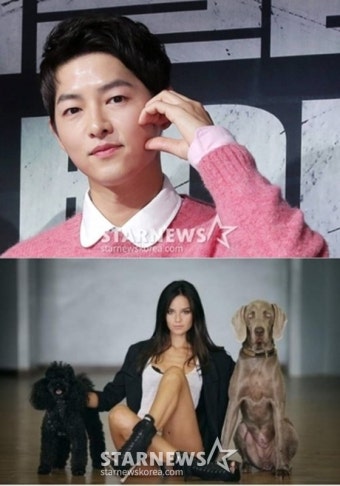 [단독]'케이티' 송중기, 신혼생활 반납하고 헝가리行..예비 아빠 '열일' [종합]