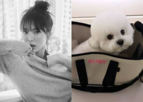 송혜교 루비가 정말 좋아해요 깔끔한 반려견백 선물에 만족
