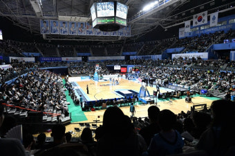 '국제대회=흥행'은 옛말인가, '항저우 참사' 농구도 관중몰이... 800만 관중 프로야구 이어 흥행 열풍