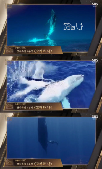 김태리 최우수연기상+'악귀' 3관왕→곽준빈·기안84 2관왕..'고래와 나' 대상[제51회 한국방송대상][종합]