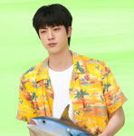 팬사랑꾼의 선물 방탄소년단 진 슈퍼 참치 완곡 버전 이틀째 전 세계·유럽·미국 등 아이튠즈 1위