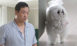 구성환, 반려견 꽃분이 이름으로 샴푸 출시… 수익 전액 유기견 보호소 기부로 사회적 기여 이끈 광고 캠페인