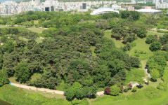 올림픽공원, 산림청 인증모범도시숲선정