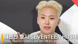 세븐틴 호시, 깜찍한 호랑해 포즈로 새해 복 많이 받으세요! [영상]