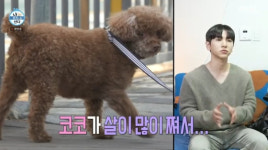 이주승, 반려견 코코와 등산 다이어트 돌입..계단이 끝이 없다[나혼산][★밤TView]