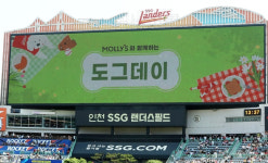 도그데이 SSG, LG와 홈 경기서 시즌 8번째 매진→이틀 연속 완판