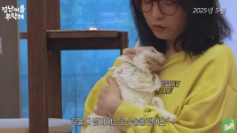 김정난, 18년 함께한 반려묘 잃고 오열..암 제거 수술에도 증식 