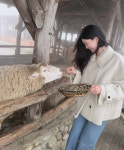 누구랑 갔을까..제연, 지민과 결별설 속 데이트 코스 방문 평화로운 양떼목장