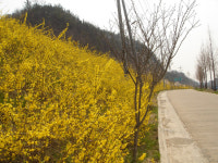 무게씨름, 기억씨름, ‘이색씨름대회’가 열린다