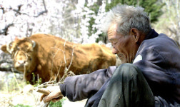 워낭소리 아부지 부.산-2009 스크린 부성애 열풍