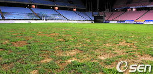 전주 구장 잔디, 월드컵 유치에 문제 없나?