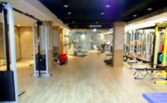 이제 아이돌 대신 짐승돌이 대세