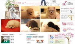애완동물 크리스마스 옷을 선물로 드려요