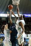패배 잊은’ 동부, 16연승-42승 KBL 신기록