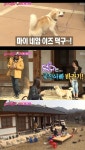 불타는청춘 김국진, 반려견 덕구 소개 국진바라기