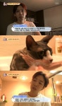 동물농장 김진우 고양이 알레르기..약 먹어야한다