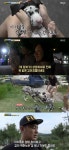 [어저께TV] 하하랜드 9남매와 어미개의 만남, 재미·감동 다 잡았다