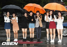 [사진]네이처,빗속에 핀 꽃들