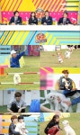 ‘아멍대’ 아이돌X반려견, 멍뭉美 대결..이색 ‘독’ 스포츠 관전포인트3