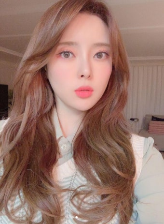 유튜버 겸 BJ 도아, 유기견 보호소에 반려견 소독제 기부 선행