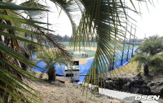 [사진]야자수 우거진 제주 강창학야구장에서 구슬땀 흘리는 SK 와이번스