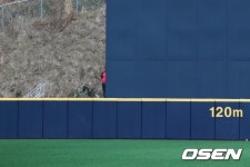 투구보러 백스크린까지 달려간 조계현 단장, 그 간절함 [오!쎈 함평]