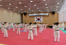 ‘2021 주한 외국인 태권도 보급 사업 사범단’ 추가 모집