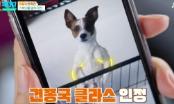 김희철犬기복이, 사람같은 근육 실화? “견종국”→태연 犬제로 “SNS 셀럽견”(‘펫키지’) [Oh!쎈 종합]