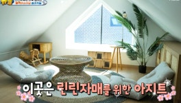 “3층家=키즈카페급” ‘대전 장동건’ 김태균, 마당+엘베+다락방달린 ‘초호화’ 大저택 공개 [어저께TV]