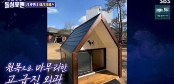 리치언니 박세리's 반려견 독채家 클라쓰..'130억원' 레전드는 달라 [어저께TV]