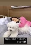 김희선이 더 귀엽나? 강아지가 더 귀엽나?[★SHOT!]