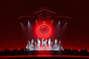 “4만 관객이 눈앞에, 울컥” 세븐틴, 日 돔 첫 입성..꿈의 무대 섰다 (종합)[Oh!쎈 현장]