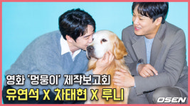 유연석-차태현,영화관 찾아온 천사 리트리버 루니 영화 멍뭉이 제작보고회 [O! STAR]