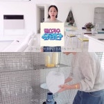 엄정화 김태호PD 선물한 접시→치킨+피자, 원해서 먹어본적 無” 고백