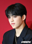 세븐틴 에스쿱스, 십자인대파열로 활동 중단...