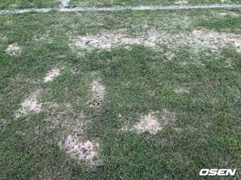 ‘이게 프로축구 홈구장 잔디라고?’ 돌풍의 광주FC, 실력을 받쳐주지 못하는 충격적인 구장상태 [오!쎈 광주]