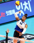 [사진]날아오른 모마