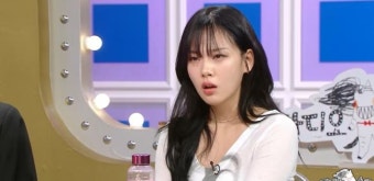 비비 