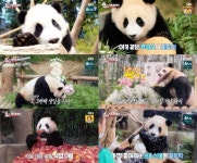 우리의 영원한 아기판다 푸바오, 안녕..강사육사 결국 ‘눈물’(‘동물농장’)