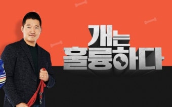 강형욱, '개훌륭' 교체 가능성·'댕댕 트레킹' 불참...'개통령' 손절각 재나 [종합]