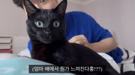 박수홍♥김다예, 딸 전복이 콧대가 벌써?...초음파 사진에 뿌듯 (행복해다홍)