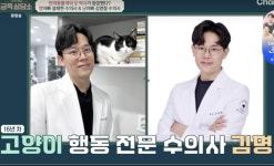 안락사=도덕적 딜레마..선배 의료인 오은영 모든 의사, 100% 생명 살릴 수 없어 소신 [어저께TV]