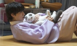 안재현, 돌싱 심경 “문득 외로움이 스치더라..반려묘과 한복 셀카 (나혼산)