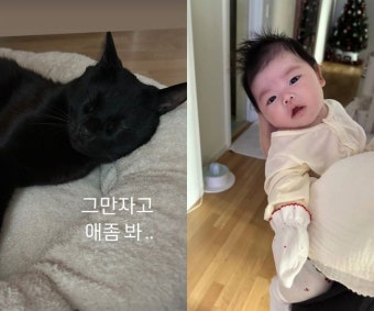 박수홍김다예 겹경사, 예쁜 딸 재이 옆에 또 예쁜 반려묘 다홍이 
