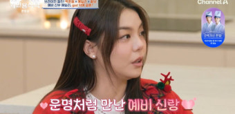 에일리, 