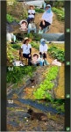 '유방암 투병' 박미선조차 감동한 찐 맛···배우 김정난 콩떡의 맛은?('김정난 유튜브')[순간포착]