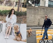 변요한티파니, 신혼인데 벌써 럽스타..같은 날 같은 반려견 포착