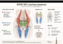 '47세' 이효리, 몸의 한계 극복 "내 몸이 내 몸 같지 않아"