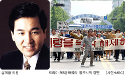 서울역 회군 심재철 의원, 드라마 제5공화국 객관적