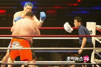 최홍만, 